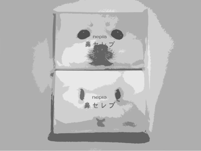 Nepia Nose Celebrity Pocket Tissue (鼻セレブ): A Revelation in&nbsp;Softness